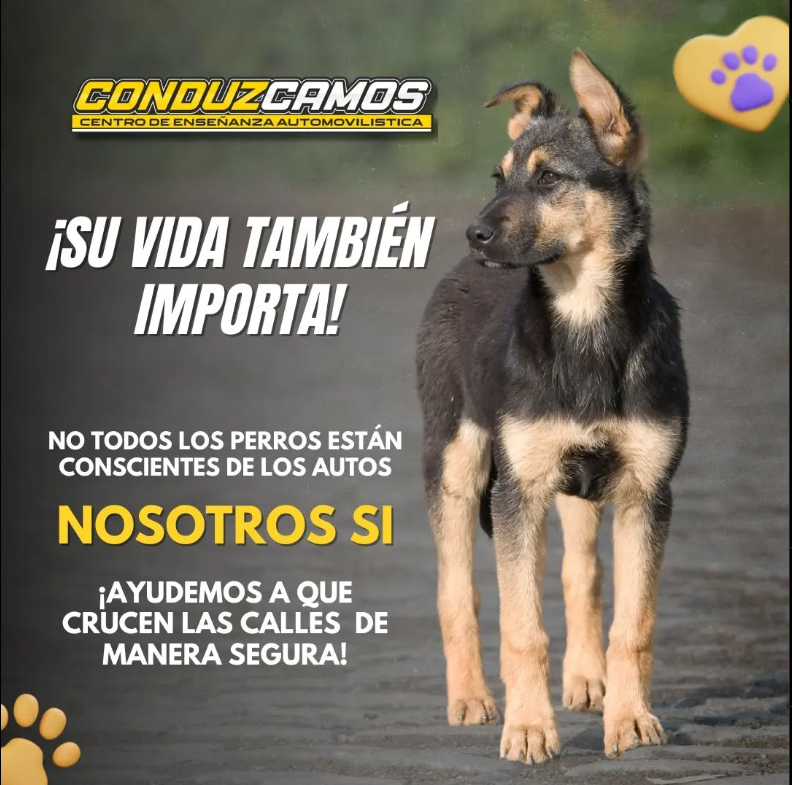 Carrusel 1